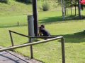 IMG 4664