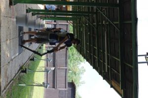 IMG 4497 IMG 4497