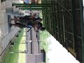 IMG 4498