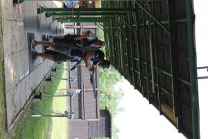 IMG 4498 IMG 4498