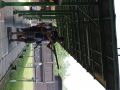 IMG 4501