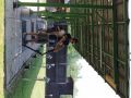 IMG 4516