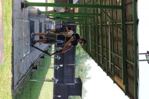 IMG 4516 IMG 4516