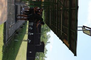 IMG 4521 IMG 4521