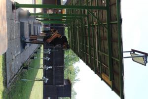IMG 4522 IMG 4522