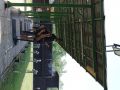 IMG 4523