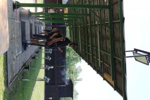 IMG 4523 IMG 4523