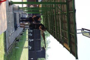 IMG 4524 IMG 4524