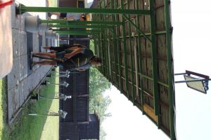 IMG 4525 IMG 4525