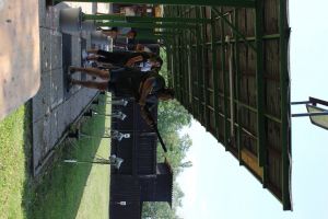 IMG 4526 IMG 4526
