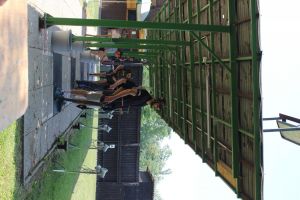 IMG 4527 IMG 4527