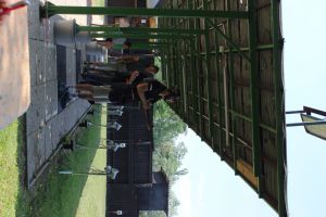 IMG 4528 IMG 4528