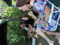 IMG 4534