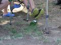 IMG 4539